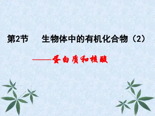蛋白质和核酸知识点