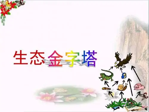 六年级语文上册生态金字塔 PPT精品课件3鄂教版