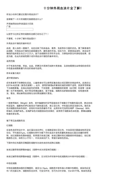 十分钟外周血涂片全了解！