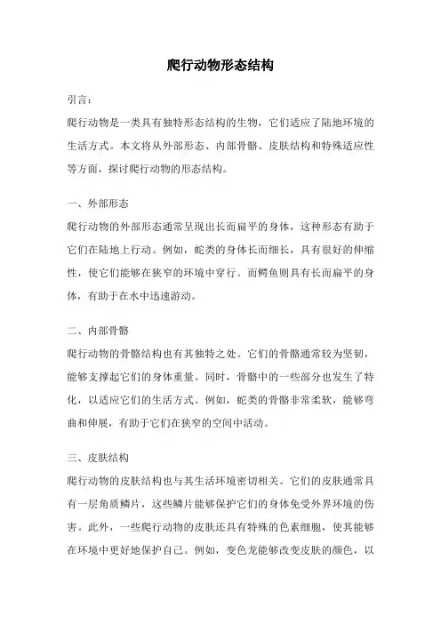 爬行动物形态结构