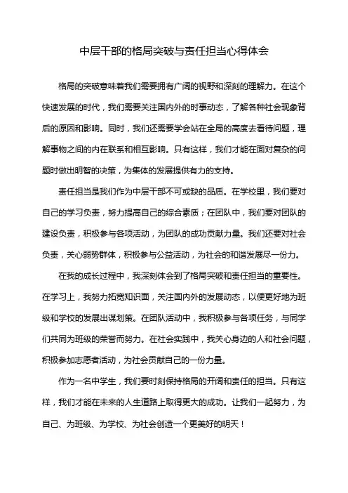 中层干部的格局突破与责任担当心得体会