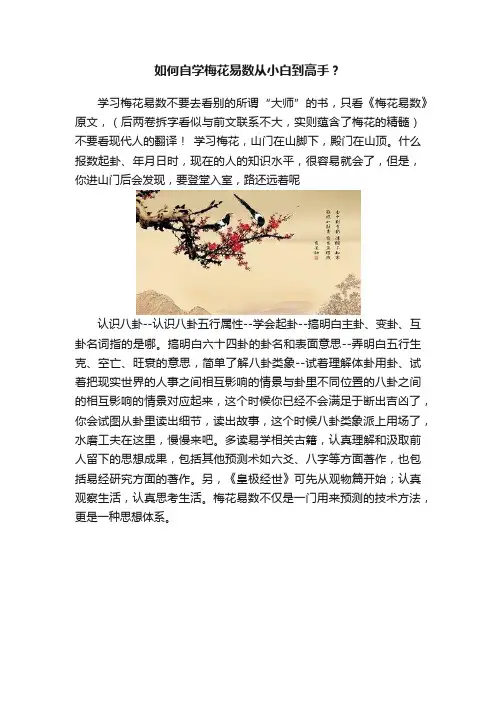 如何自学梅花易数从小白到高手？