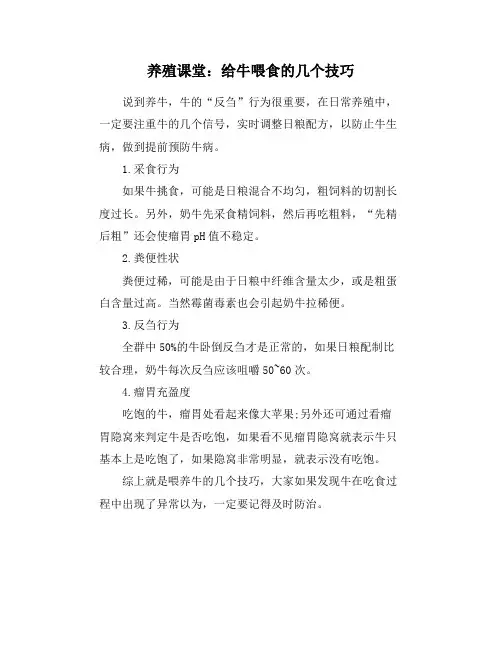 养殖课堂：给牛喂食的几个技巧