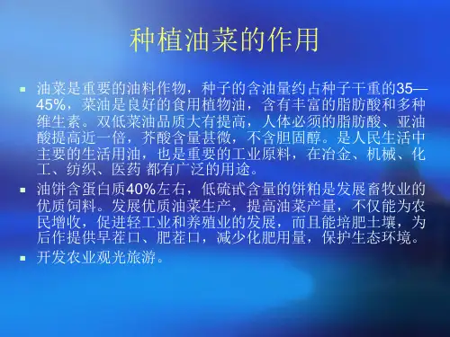 油菜栽培技术PPT课件电子教案