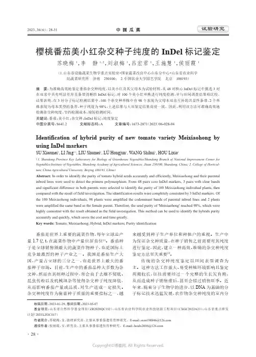 樱桃番茄美小红杂交种子纯度的InDel_标记鉴定