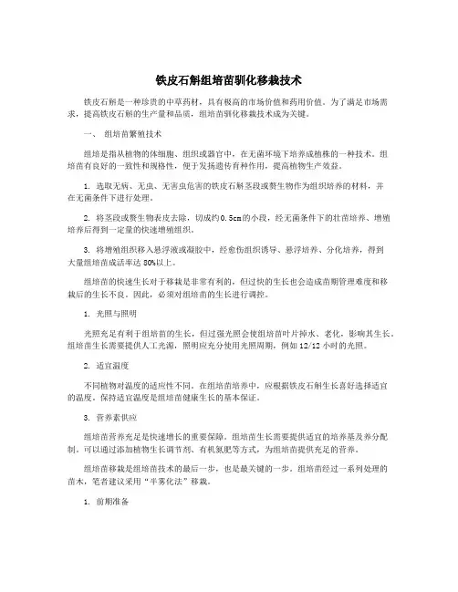 铁皮石斛组培苗驯化移栽技术