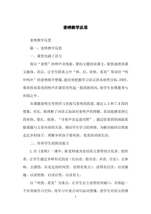 麦哨教学反思