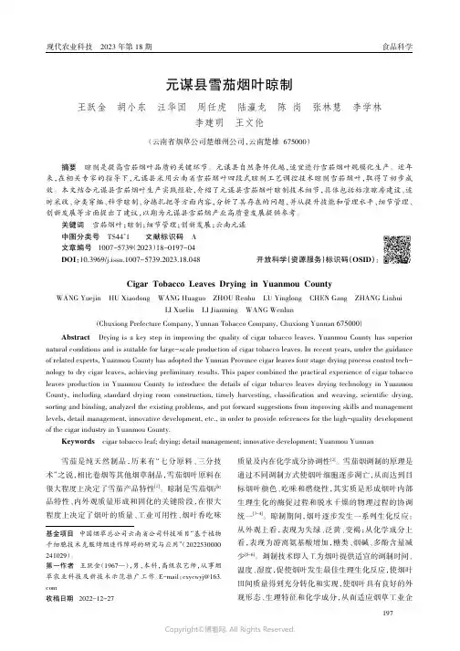 元谋县雪茄烟叶晾制