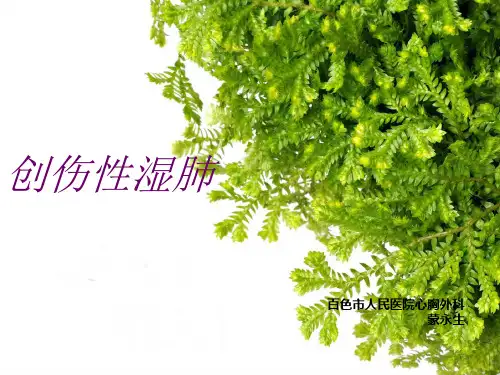 创伤性湿肺