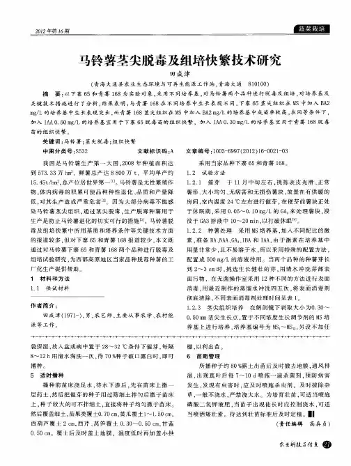 马铃薯茎尖脱毒及组培快繁技术研究