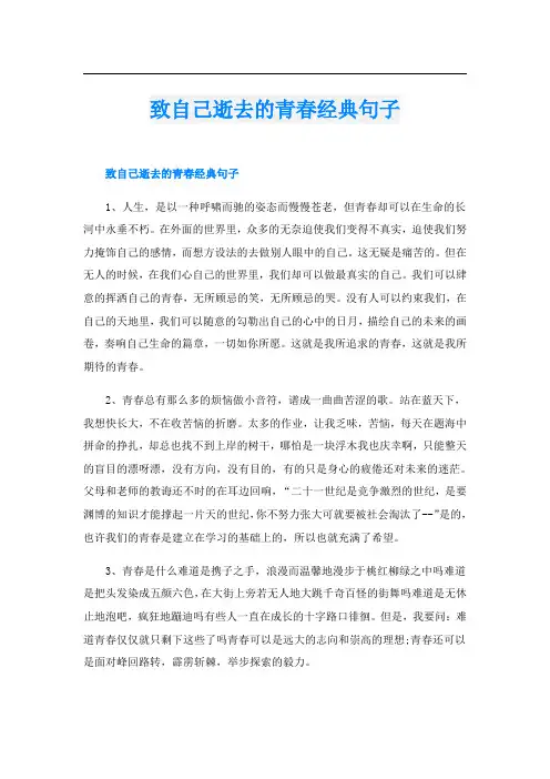 致自己逝去的青春经典句子