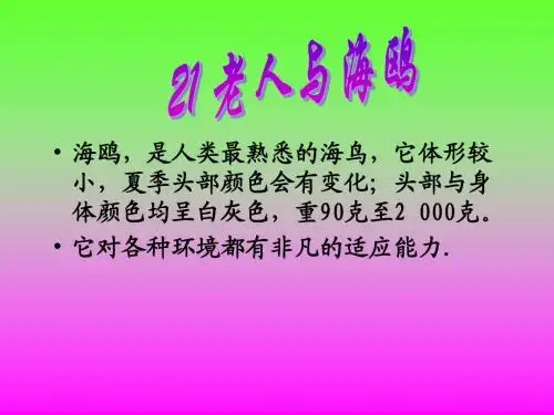 人教版小学语文六年级上册《老人与海鸥》PPT课件