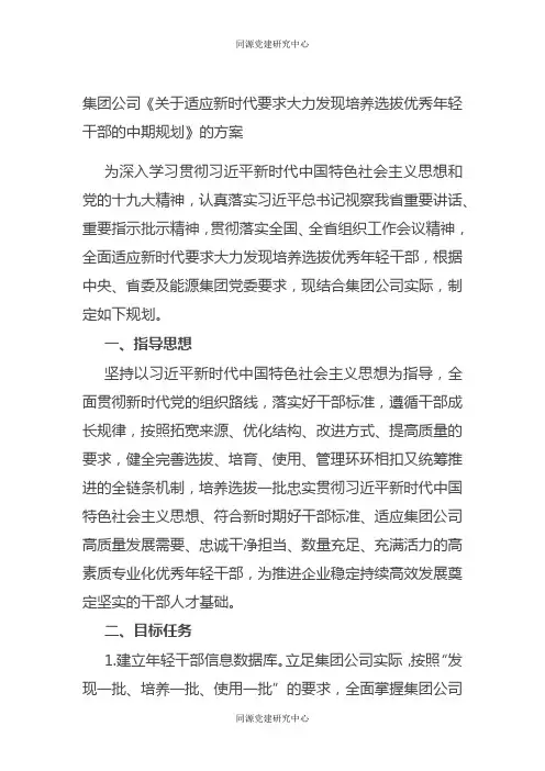 集团公司《关于适应新时代要求大力发现培养选拔优秀年轻干部的中期规划》的方案