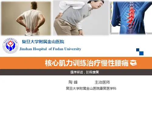 核心肌力训练治疗慢性腰痛
