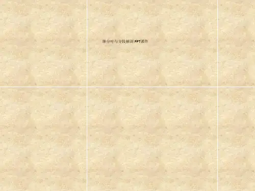 肺分叶与分段解剖 PPT课件