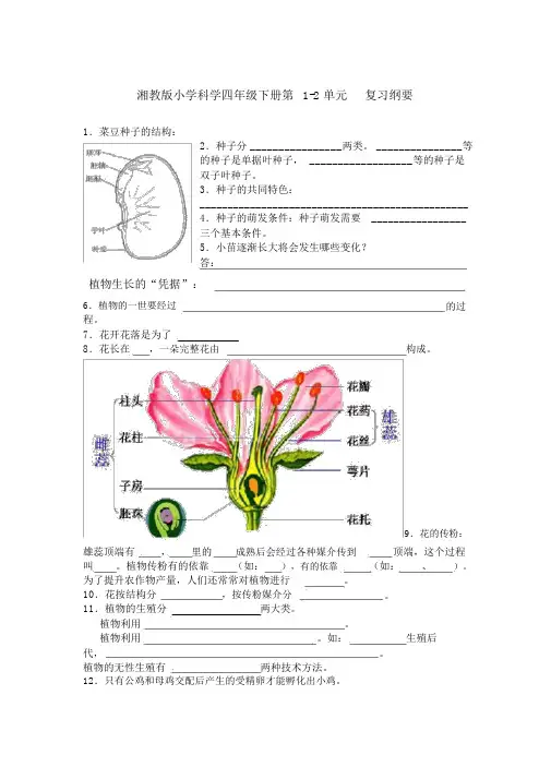 湘教版小学科学四年级下册复习提纲