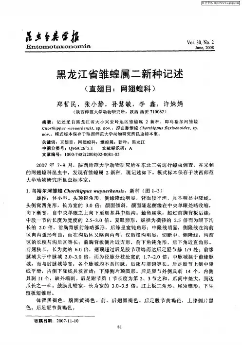 黑龙江省雏蝗属二新种记述(直翅目：网翅蝗科)