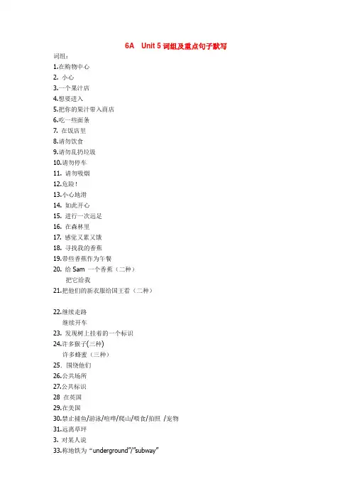 新版6A 第五单元词组及重点句子默写(含默写答案)