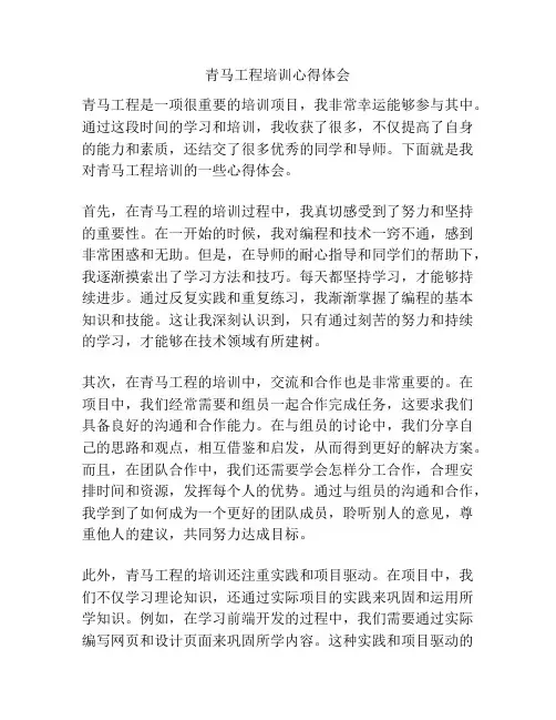 青马工程培训心得体会