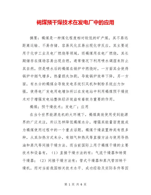 褐煤预干燥技术在发电厂中的应用