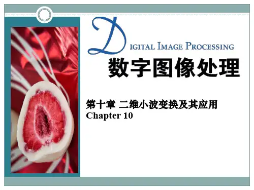 第10章 二维小波变换及其应用(1)