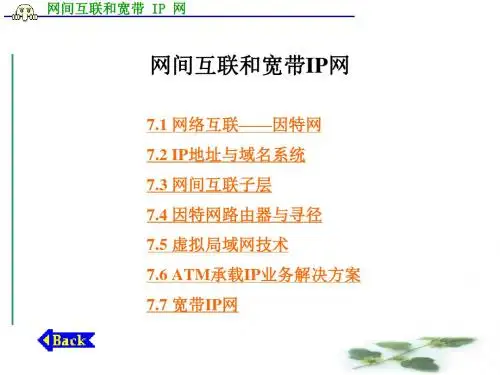 网络实用技术网间互联和宽带-IP-网朱明zhubob