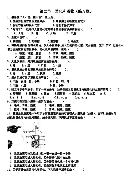 初中生物七年级下册《3.1.2消化和吸收》练习题(含答案)