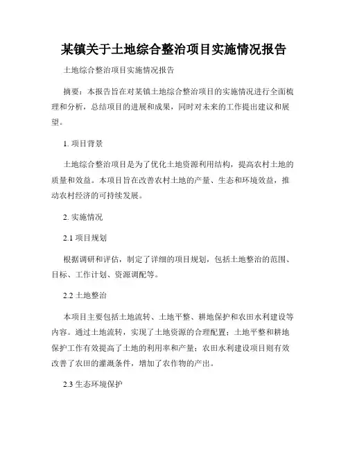 某镇关于土地综合整治项目实施情况报告