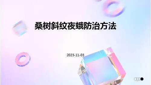 桑树斜纹夜蛾防治方法