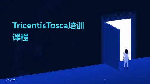 TricentisTosca培训课程-2024鲜版