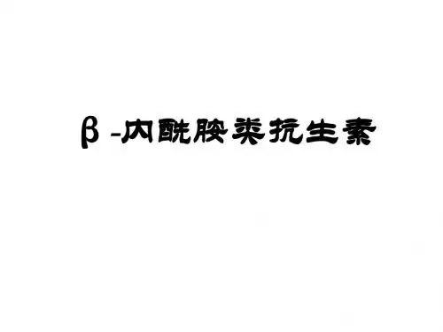 β-内酰胺类抗生素