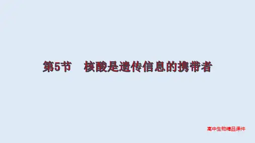 高中生物精品课件必修一第二章第5节  核酸是遗传信息的携带者