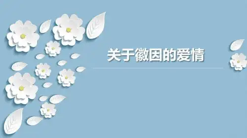 关于林徽因的爱情简介