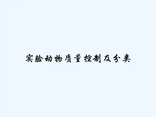 实验动物质量控制及分类 PPT