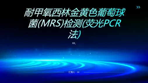 耐甲氧西林金黄色葡萄球菌(MRSA) 检测(荧光PCR法)
