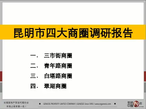 昆明四大商圈调研报告