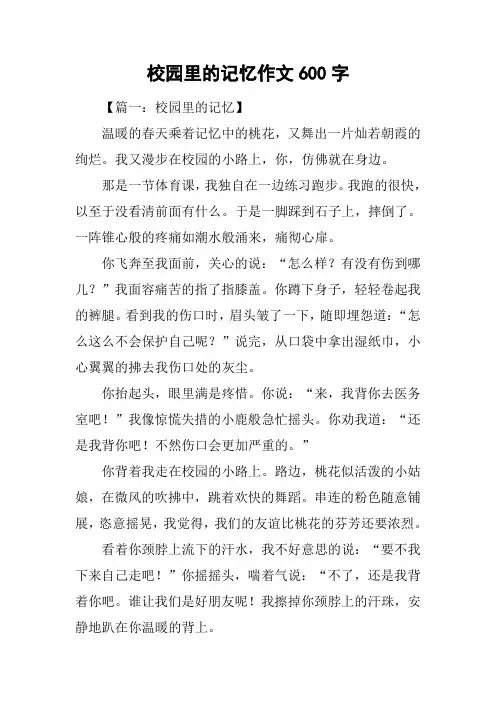校园里的记忆作文600字