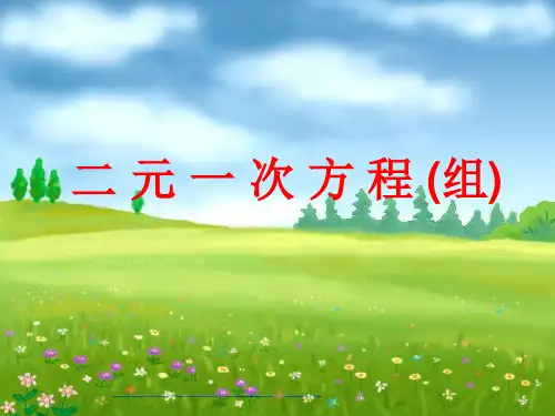 二元一次方程组_PPT课件
