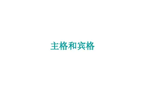 可用人称代词主格和宾格