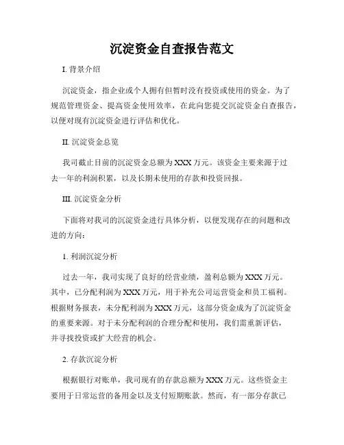 沉淀资金自查报告范文