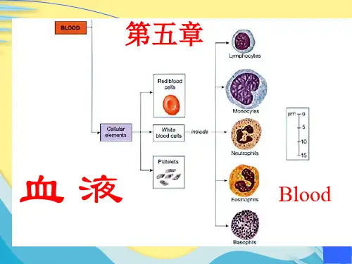 【推选】血液与体液PPT资料