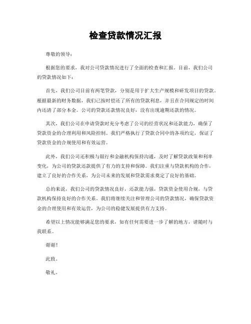 检查贷款情况汇报
