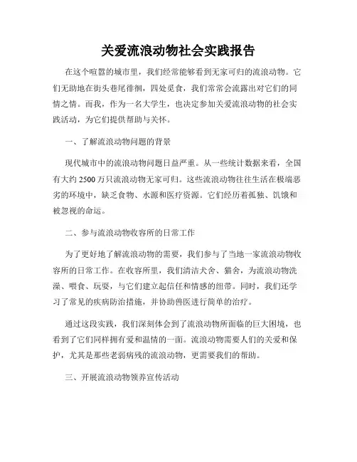 关爱流浪动物社会实践报告