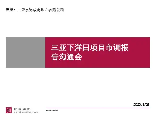 世联三亚下洋田项目报告-