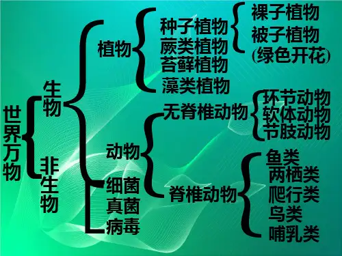 苏教版七年级生物上册复习提纲ppt课件