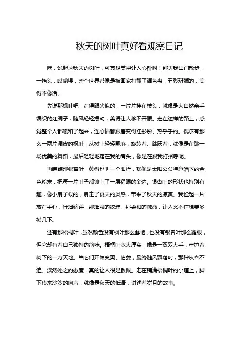 秋天的树叶真好看观察日记