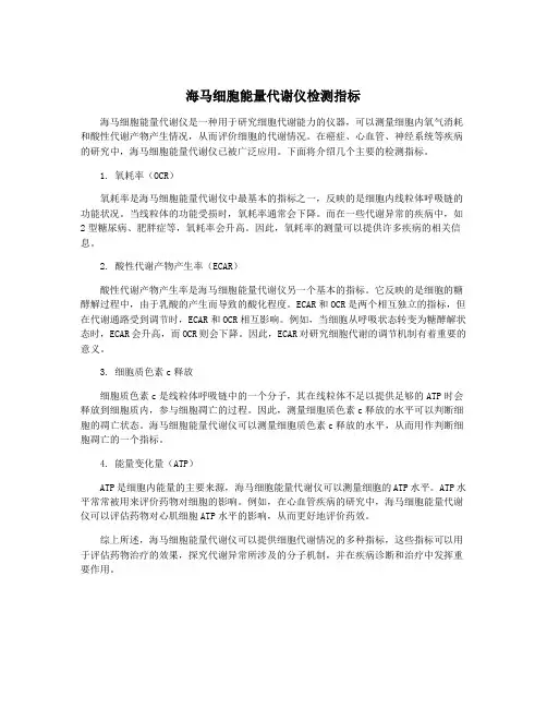 海马细胞能量代谢仪检测指标
