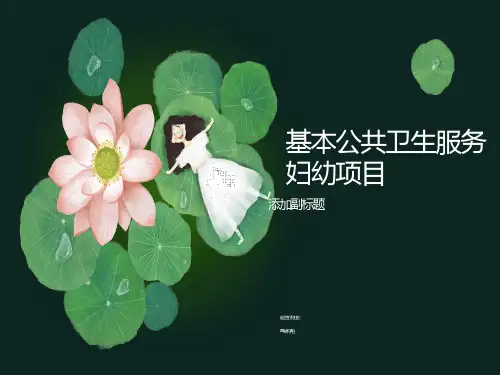 基本公共卫生服务儿童、妇幼保健项目