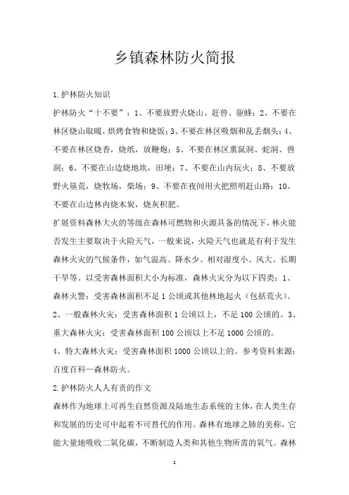 乡镇森林防火简报