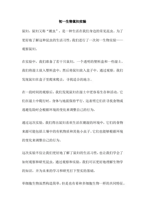 初一生物鼠妇实验